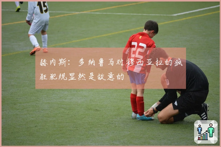 赫内斯：多纳鲁马对穆西亚拉的疯狂犯规显然是故意的