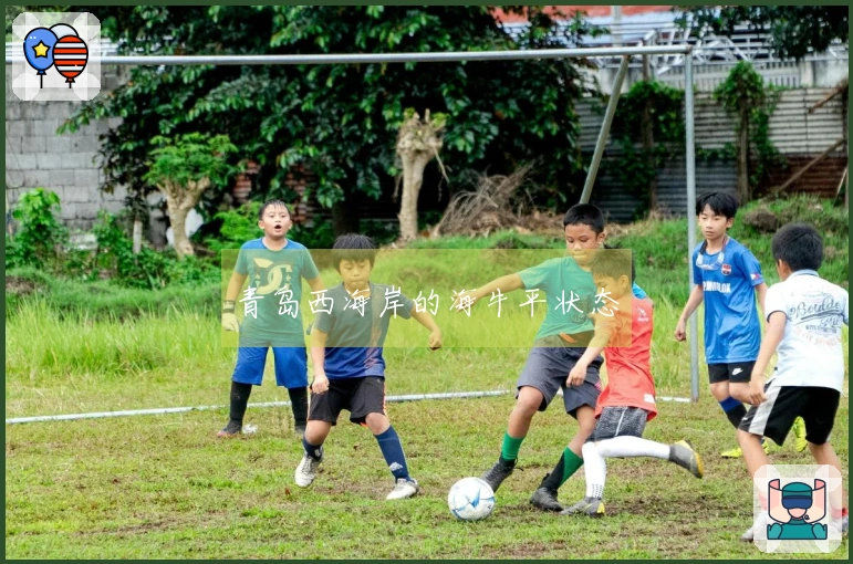 青岛西海岸的海牛平状态